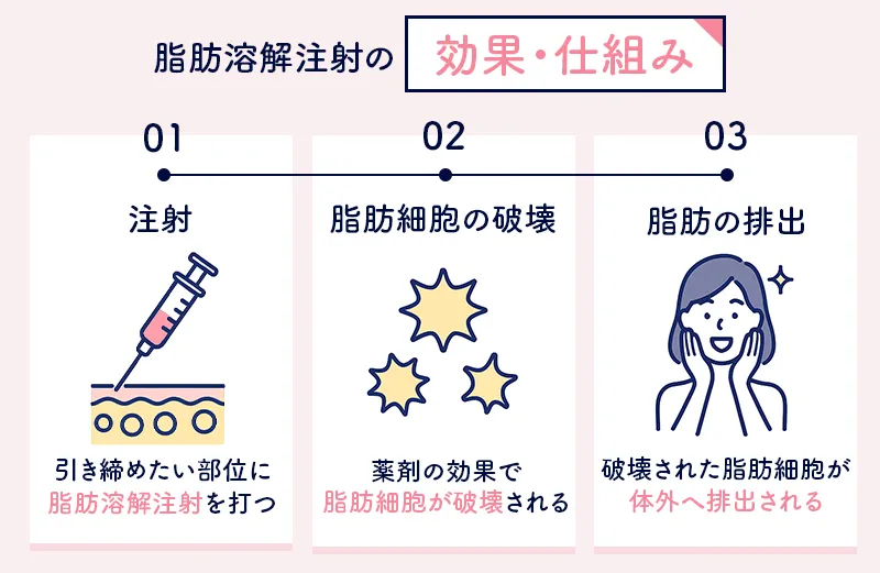 脂肪溶解注射が脂肪に作用する仕組み