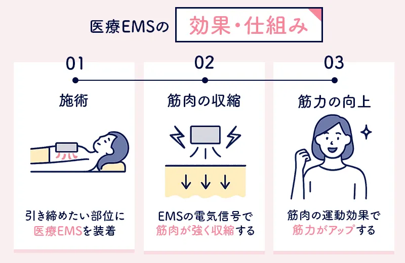 医療EMSが筋肉に与える作用