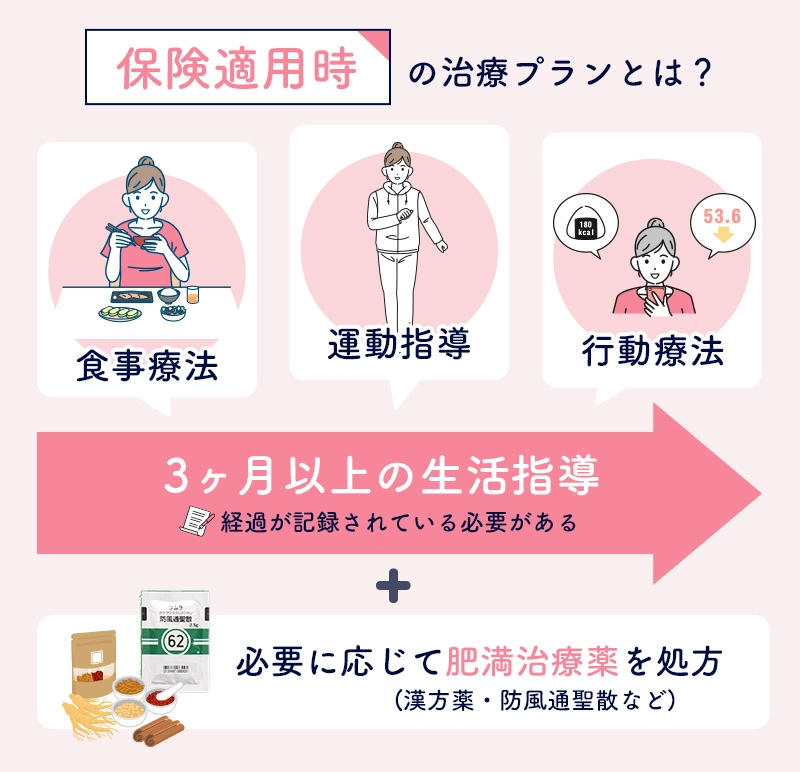 保険適用時の医療ダイエットの流れ