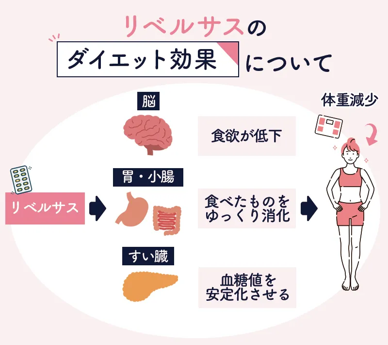 リベルサスのダイエット効果