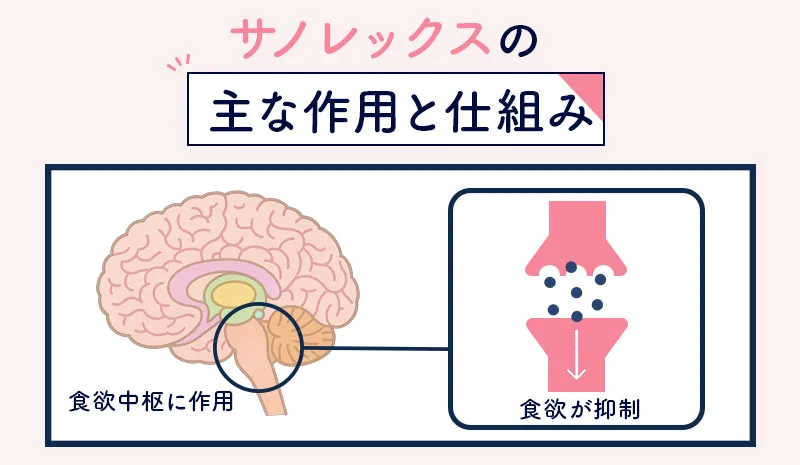 サノレックスの主な作用