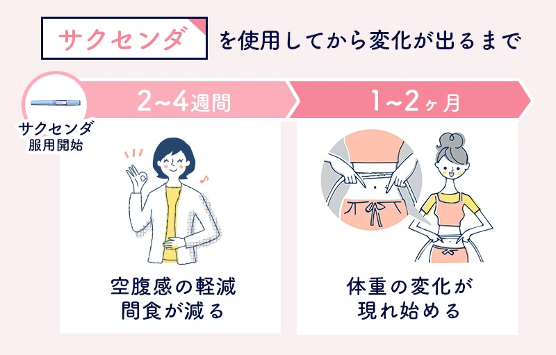 サクセンダを使用し始めてから変化が出るまで