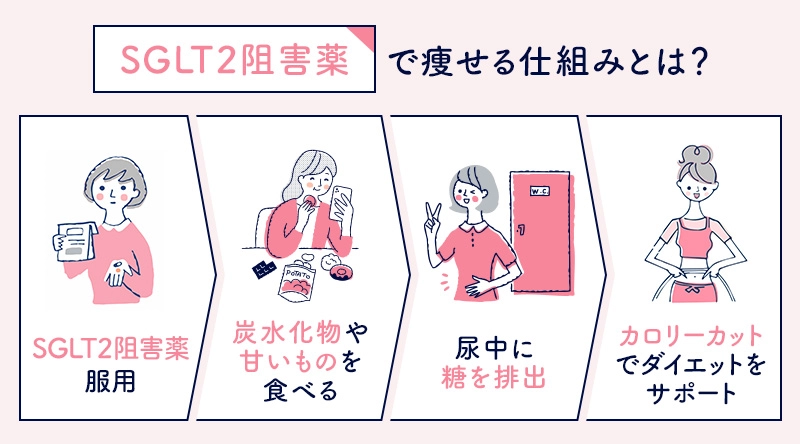 SGLT2阻害薬による減量の仕組み