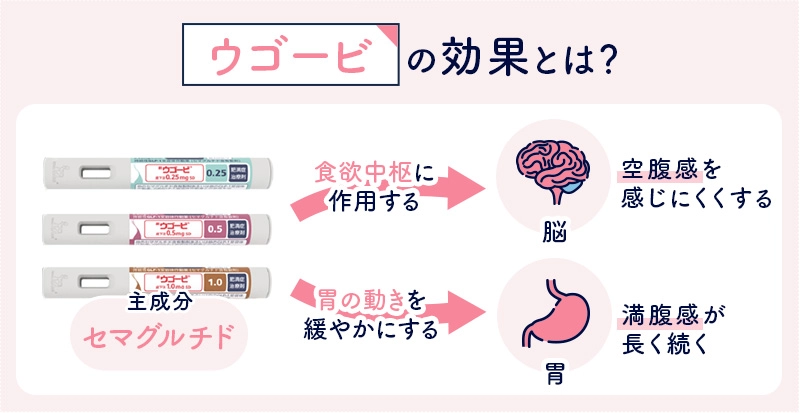 ウゴービの効果