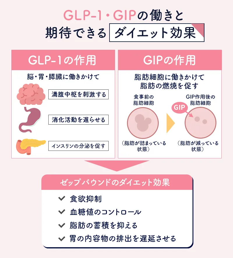 ゼップバウンド作用の仕組み